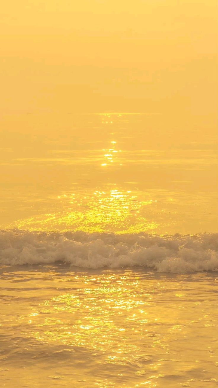 HORIZON CROP TOP - WARM YELLOW COTTON