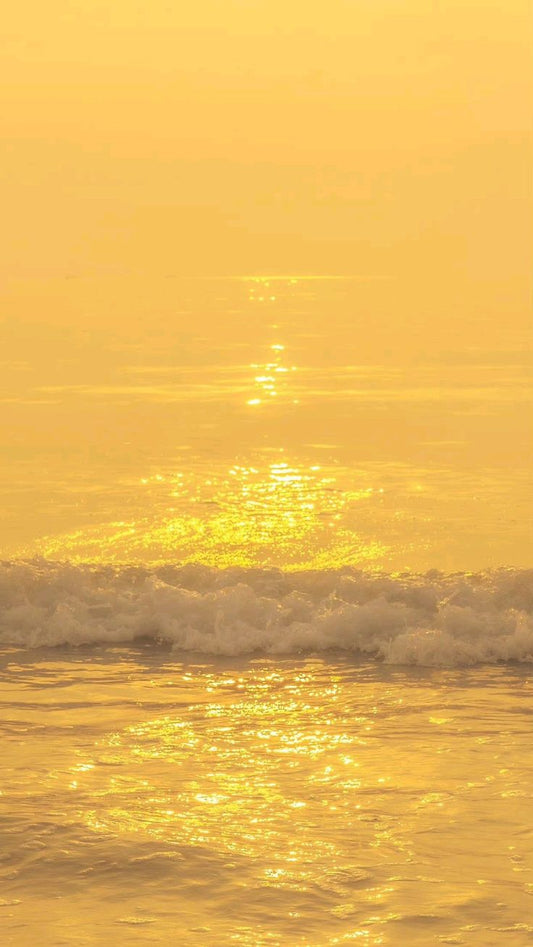 HORIZON CROP TOP - WARM YELLOW COTTON