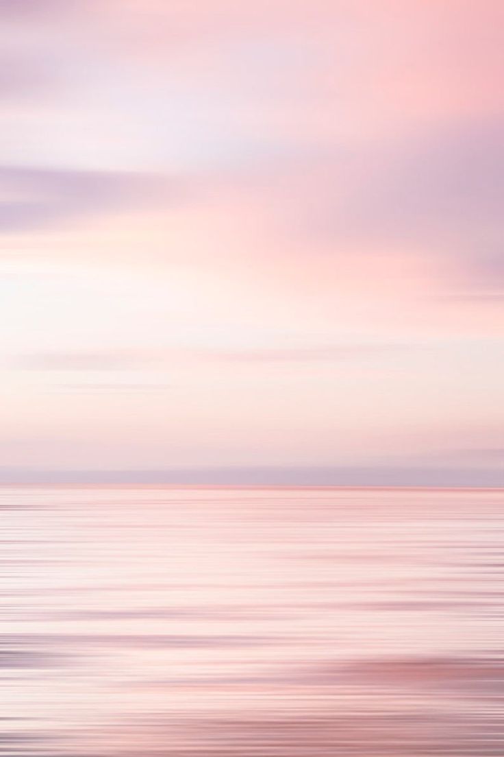 HORIZON CROP TOP - DUST PINK COTTON